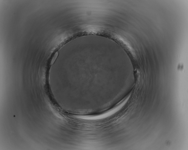 X0000094430496200711151345