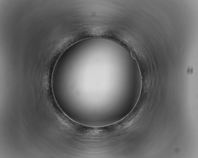 X0000094430497200711151345