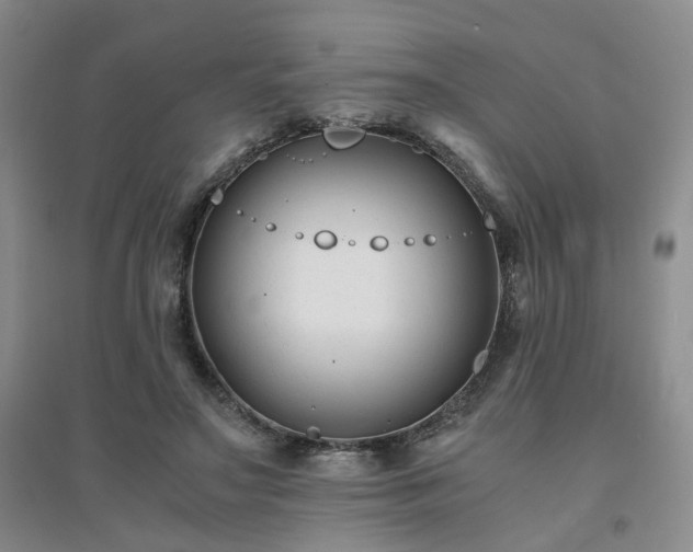 X0000094430499200711151345