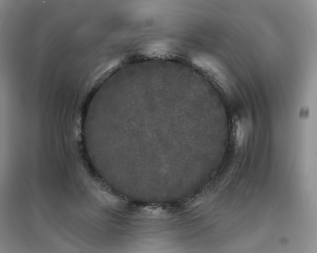 X0000094430502200711151345