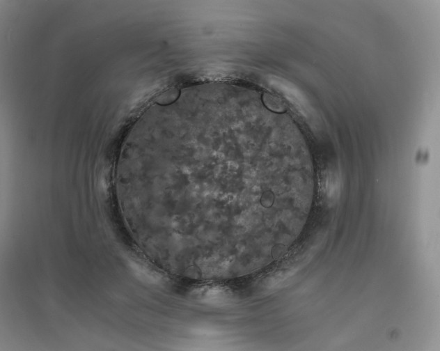 X0000094430503200711151345