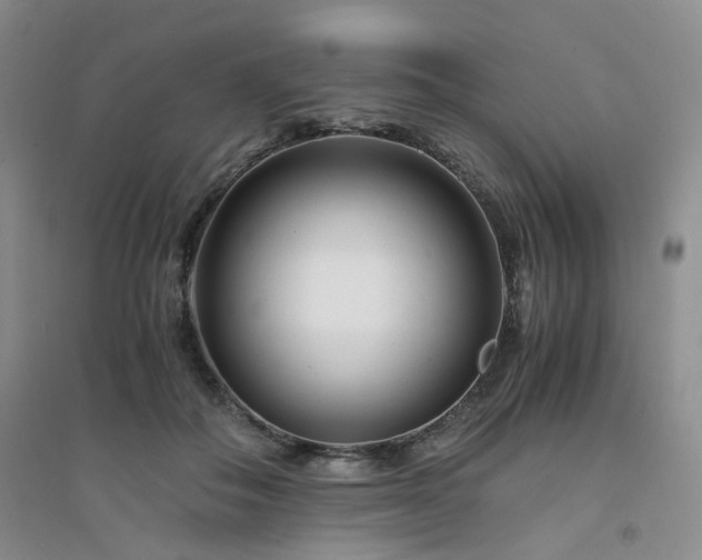 X0000094430506200711151345