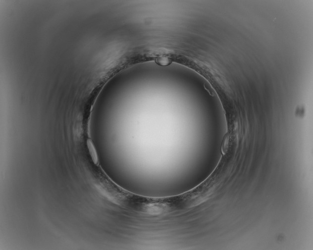 X0000094430508200711151345