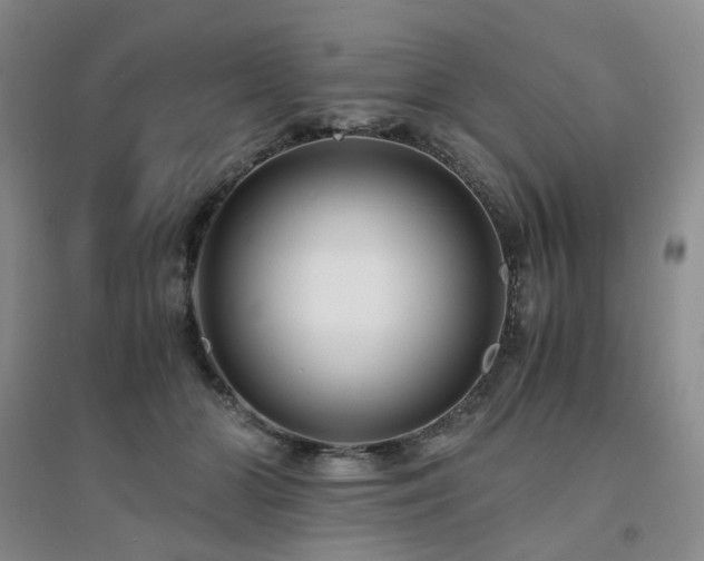 X0000094430510200711151345