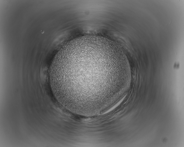 X0000094430511200711151345