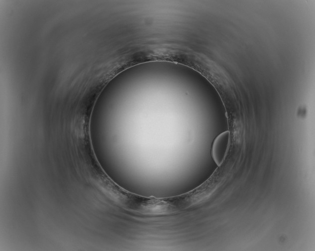 X0000094430514200711151345