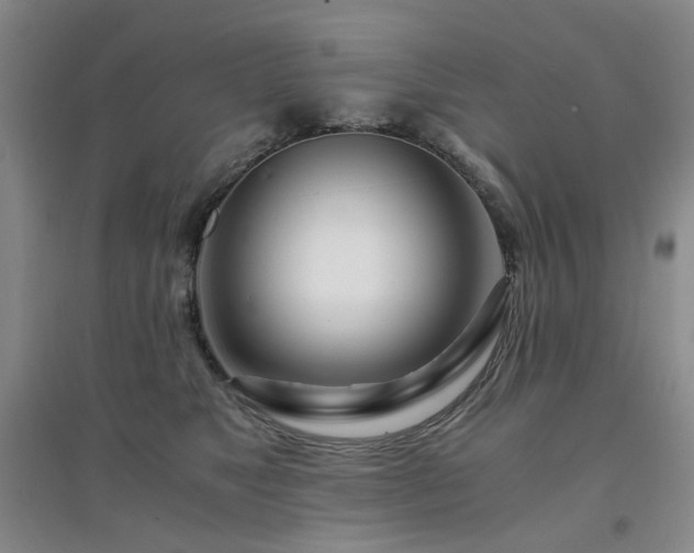 X0000094430517200711151345
