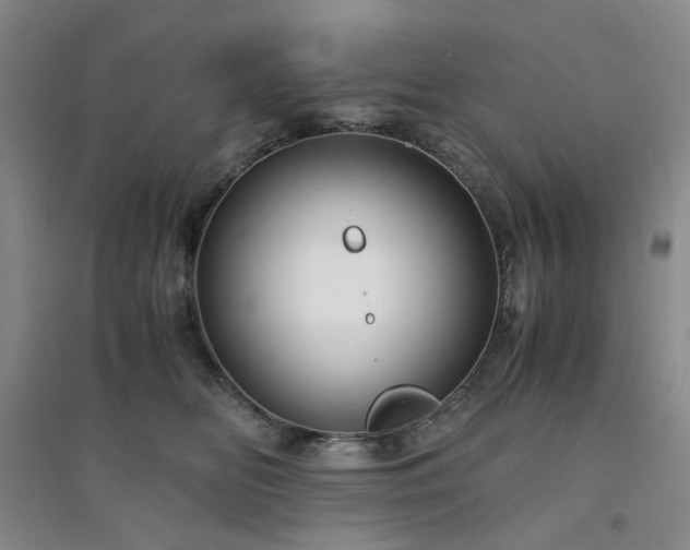 X0000094430518200711151345