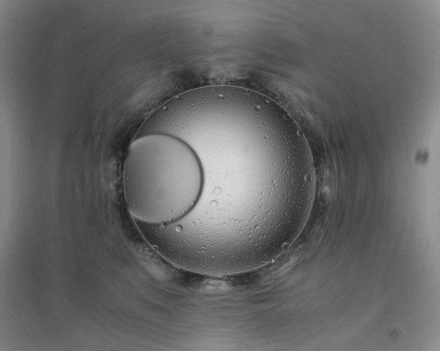 X0000094430519200711151345
