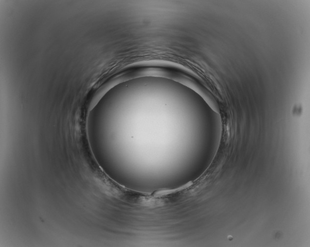 X0000094430520200711151345