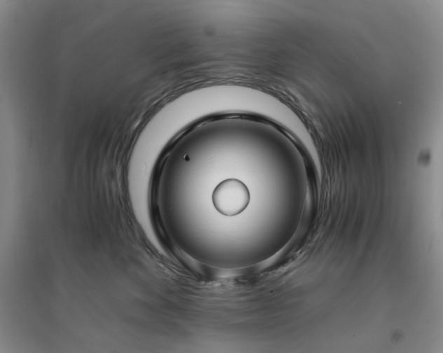 X0000094430524200711151345