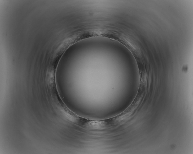 X0000094430526200711151345