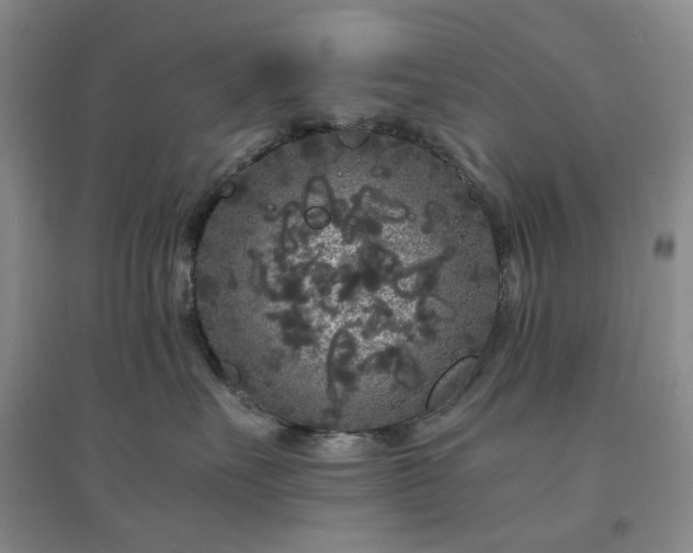 X0000094430527200711151344