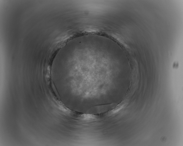 X0000094430528200711151344