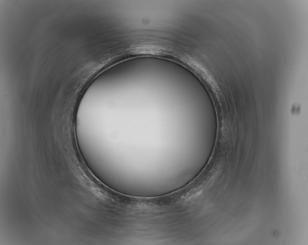 X0000094430529200711151344