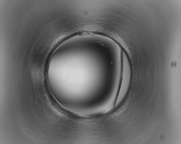 X0000094430530200711151344