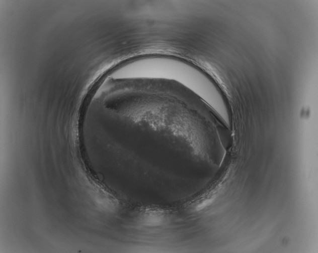 X0000094430531200711151344