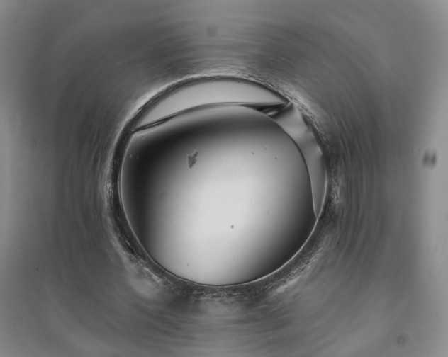 X0000094430532200711151344
