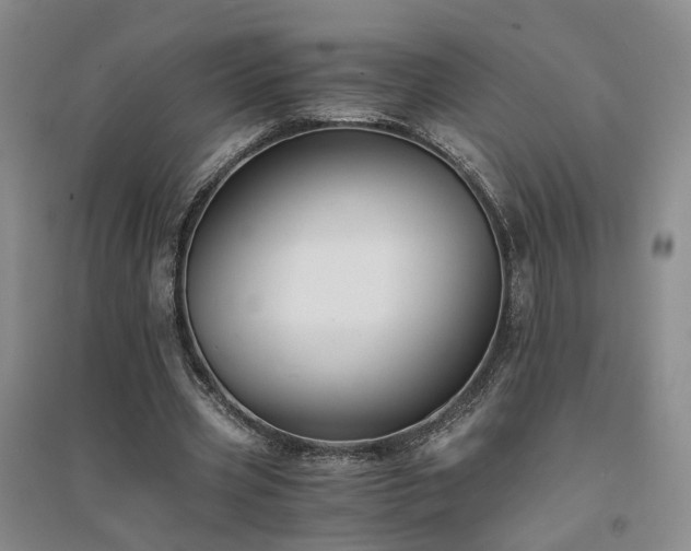 X0000094430533200711151344