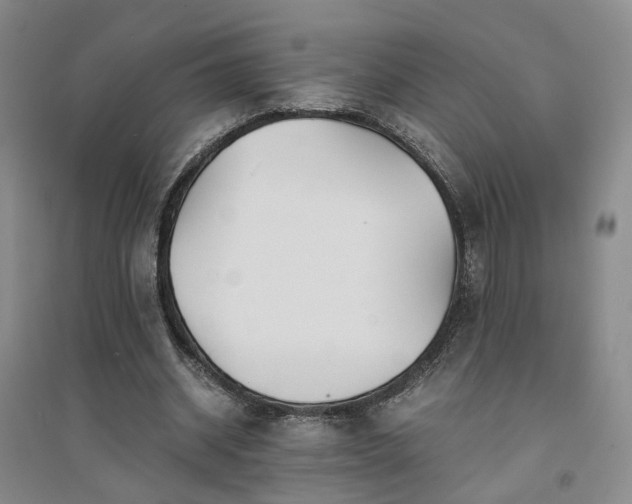 X0000094430534200711151344