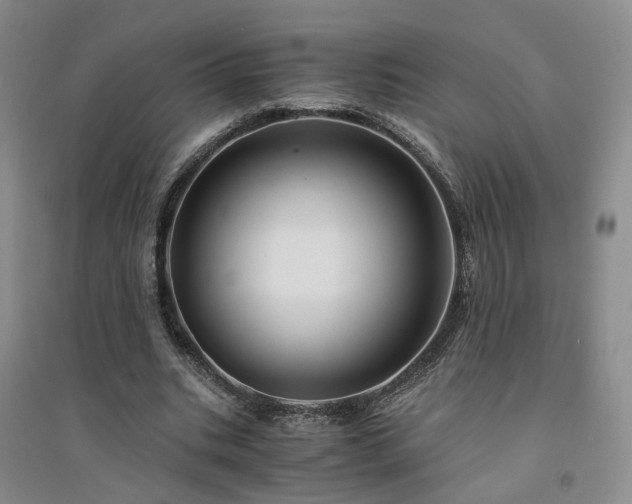 X0000094430535200711151344