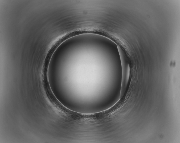 X0000094430536200711151344