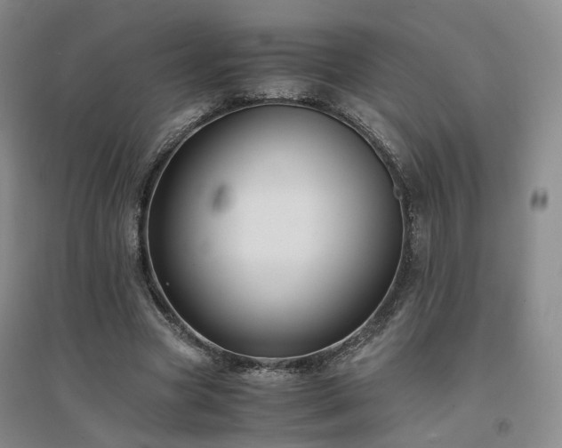 X0000094430537200711151344