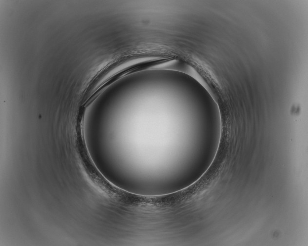 X0000094430538200711151344