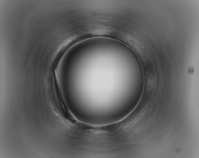 X0000094430539200711151344