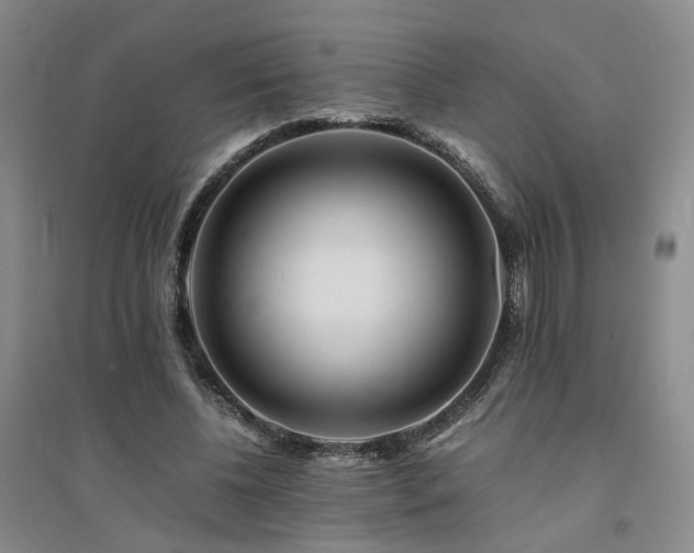 X0000094430540200711151344