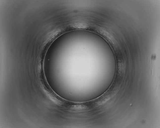 X0000094430541200711151344