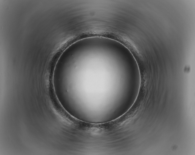 X0000094430542200711151344