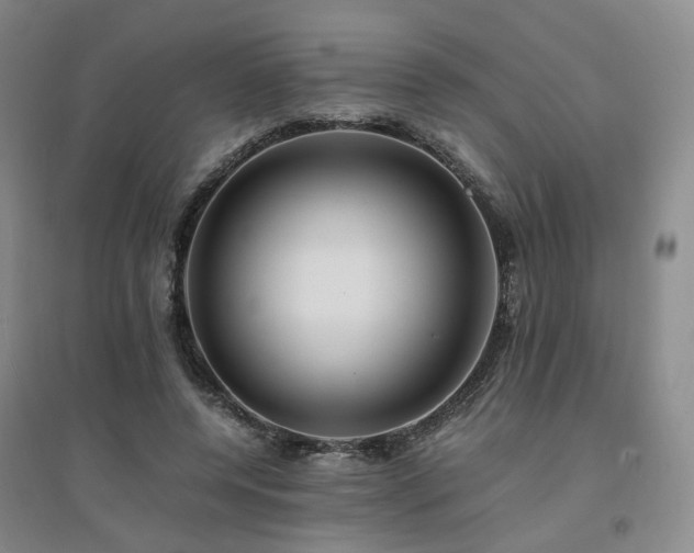 X0000094430544200711151344
