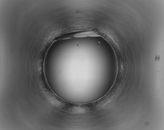 X0000094430545200711151344