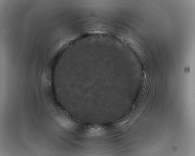X0000094430547200711151344