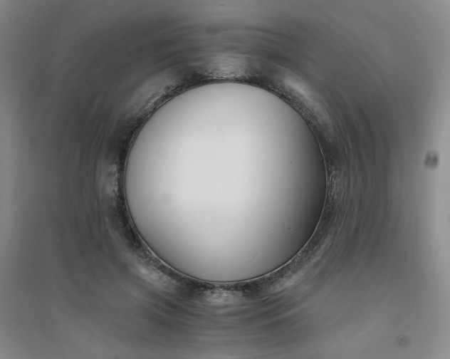 X0000094430549200711151344