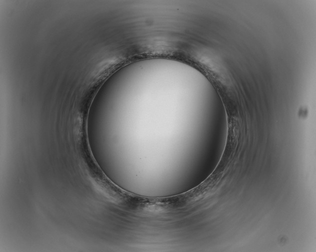 X0000094430550200711151344