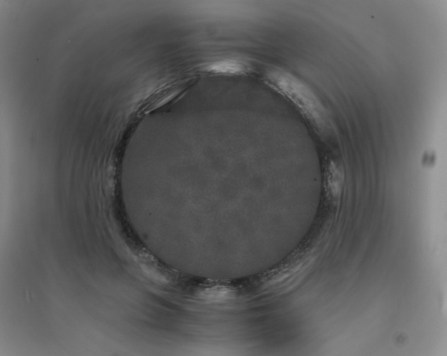 X0000094430551200711151344