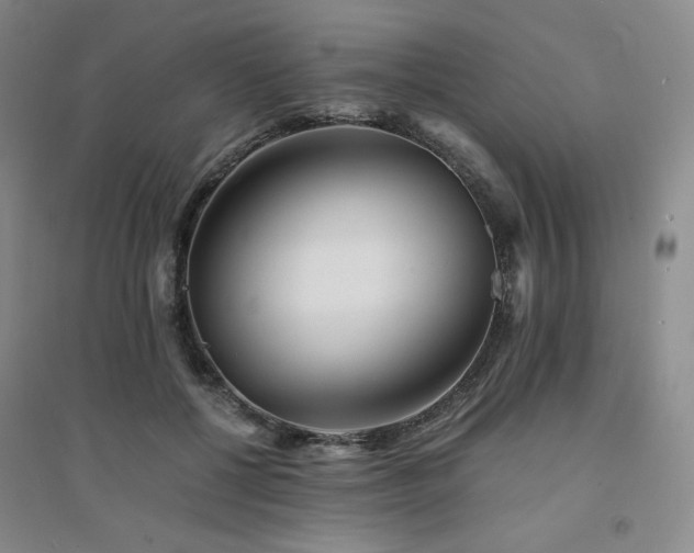 X0000094430552200711151344