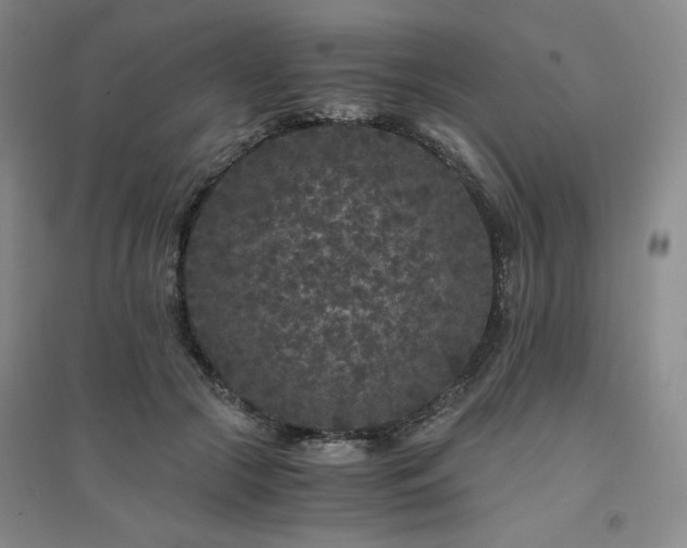 X0000094430553200711151344