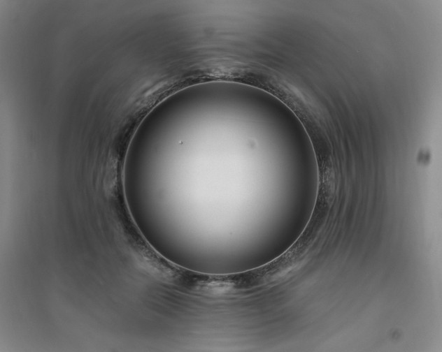X0000094430554200711151344