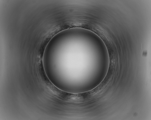 X0000094430555200711151344