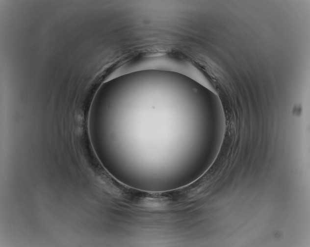 X0000094430556200711151344