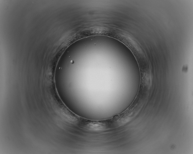 X0000094430557200711151344