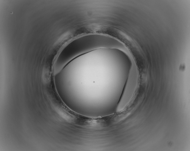 X0000094430558200711151344