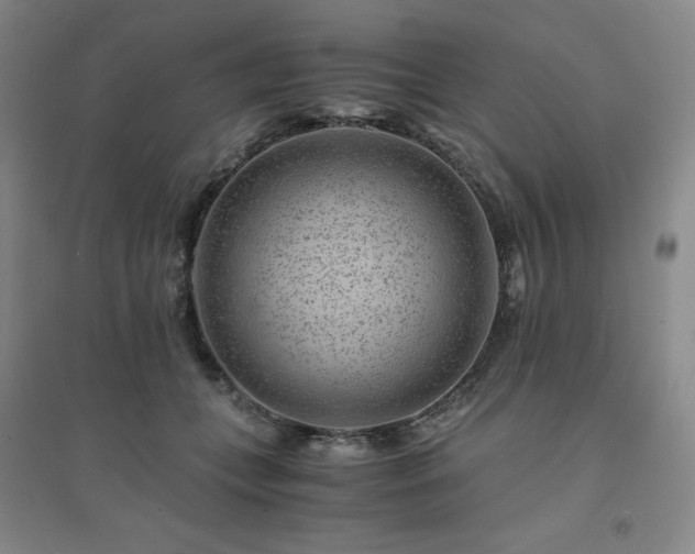 X0000094430559200711151344