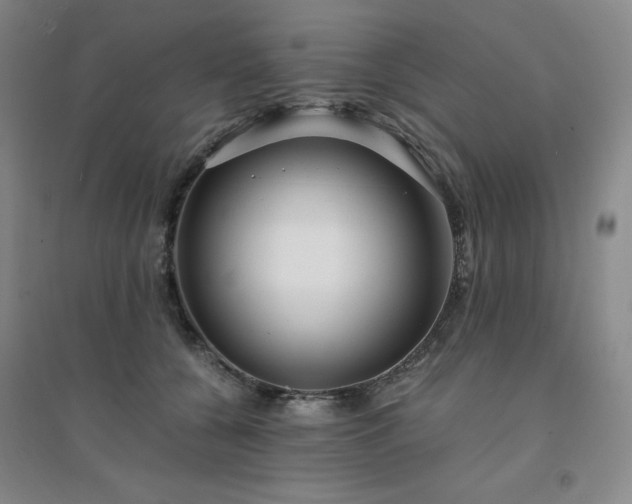 X0000094430560200711151344