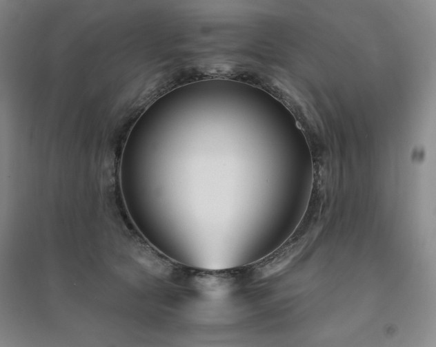 X0000094430561200711151344