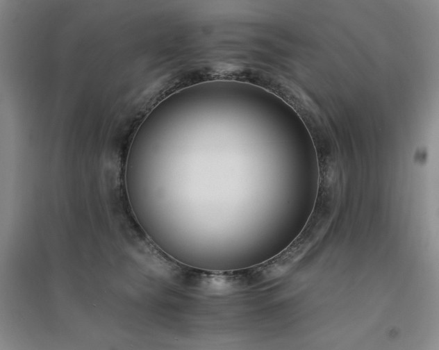 X0000094430565200711151344