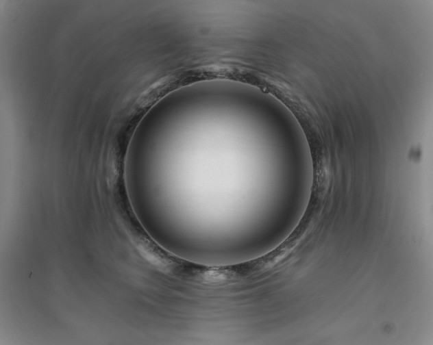 X0000094430566200711151344